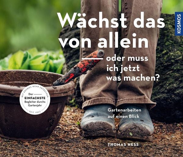 'Wächst das von allein oder muss ich jetzt was machen?' von 'Thomas