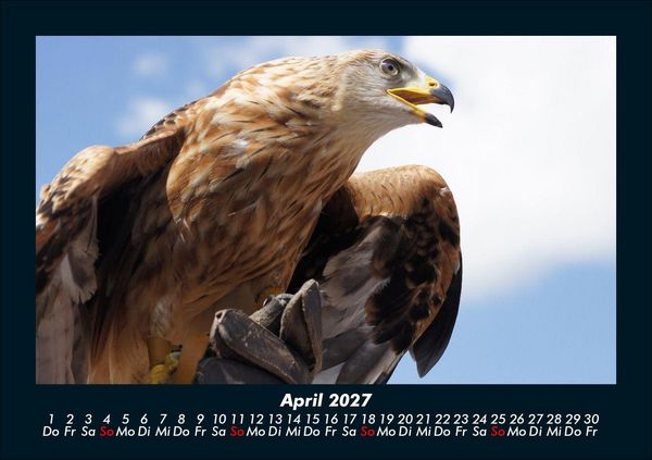 Produktbild: Vogelparadies 2027 Fotokalender DIN A5