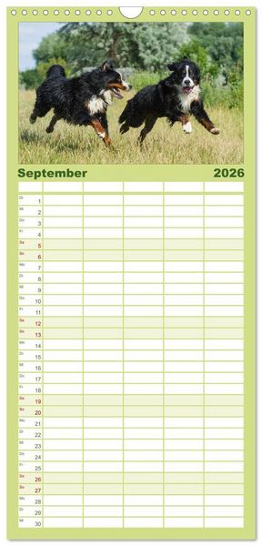 Produktbild: Familienplaner 2026 - Treuer Freund Berner Sennenhund mit 5 Spalten (Wandkalender, 21 x 45 cm) CALVENDO