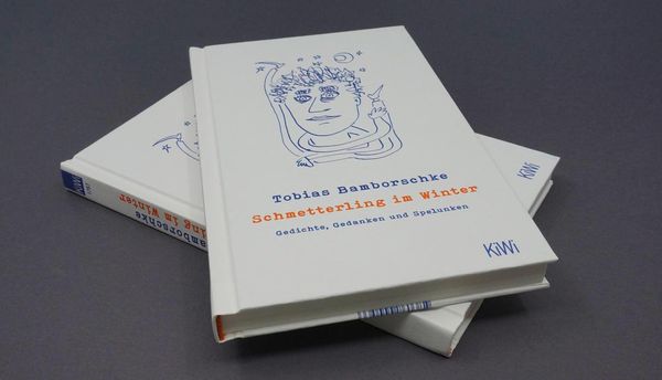 Produktbild: Schmetterling im Winter