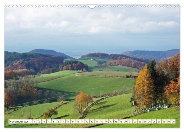 Produktbild: Viele Wege - ein Ziel Wandern im Odenwald (Wandkalender 2026 DIN A3 quer), CALVENDO Monatskalender