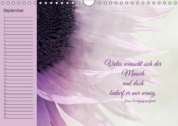 Produktbild: Spruchreifer Geburtstagskalender (Wandkalender immerw&auml;hrend DIN A4 quer)