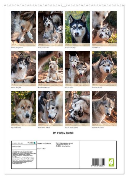 Produktbild: Im Husky-Rudel (hochwertiger Premium Wandkalender 2026 DIN A2 hoch), Kunstdruck in Hochglanz