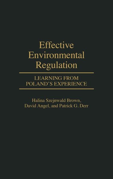 Produktbild: Effective Environmental Regulation