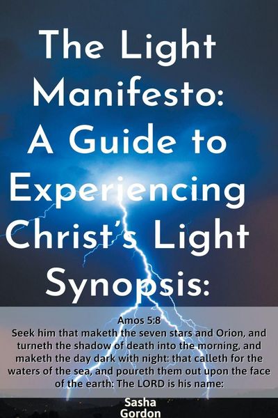 Produktbild: The Light Manifesto