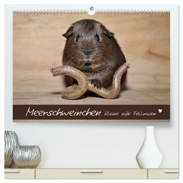 Produktbild: Meerschweinchen - Kleine s&uuml;&szlig;e Fellnasen (hochwertiger Premium Wandkalender 2026 DIN A2 quer), Kunstdruck in Hochglanz