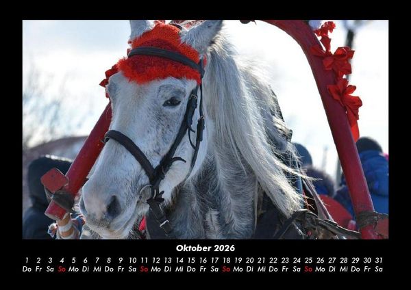 Produktbild: Pferde Kalender 2026 Fotokalender DIN A3