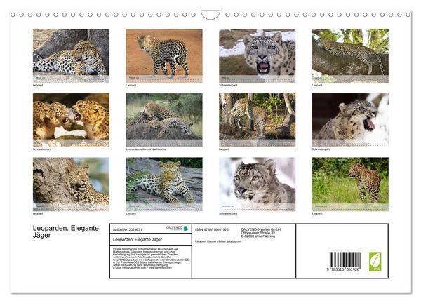 Produktbild: Leoparden. Elegante J&auml;ger (Wandkalender 2026 DIN A3 quer), CALVENDO Monatskalender