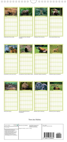 Produktbild: Familienplaner Tiere des Waldes (Wandkalender 2022 , 21 cm x 45 cm, hoch)