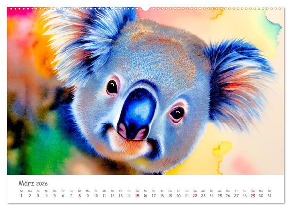 Produktbild: Der Koala 2026. Aschgrauer Beutelb&auml;r (Wandkalender 2026 DIN A2 quer), CALVENDO Monatskalender