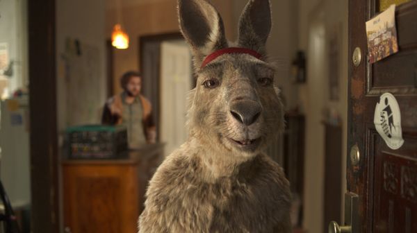 Produktbild: Die K&auml;nguru-Chroniken