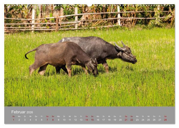 Produktbild: Eindr&uuml;cke von VIETNAM 2026 by Till Br&uuml;hne 2026 (hochwertiger Premium Wandkalender 2026 DIN A2 quer), Kunstdruck in Hochglanz