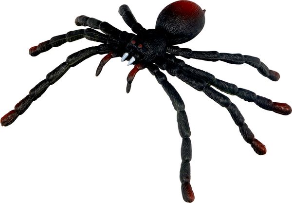 Produktbild: Biege-Spinne - Wild+Cool, sort. im Display