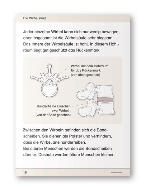 Produktbild: Ich kenne meinen Körper - Skelett, Muskeln und Wirbelsäule