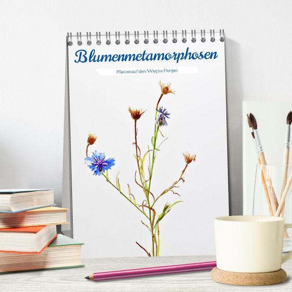 Produktbild: Blumenmetamorphosen (Tischkalender 2026 DIN A5 hoch), CALVENDO Monatskalender