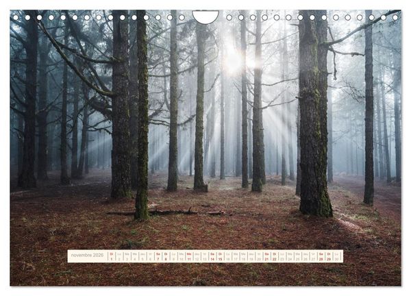 Produktbild: La Magie de T&eacute;n&eacute;riffe (Calendrier mural 2026 DIN A4 vertical), CALVENDO calendrier mensuel