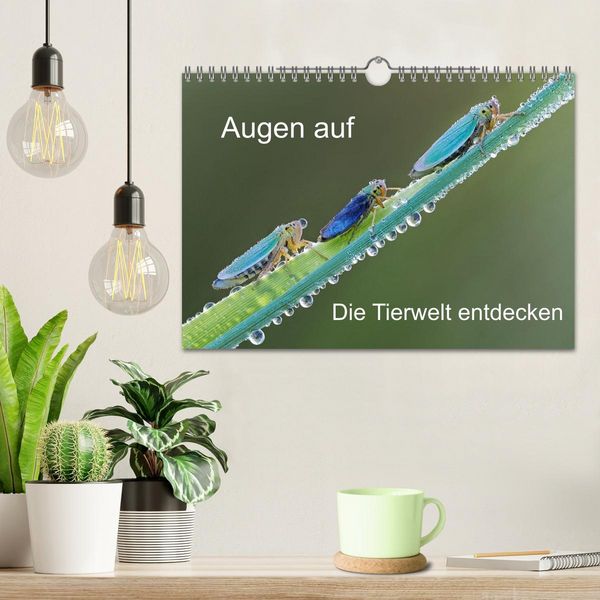 Produktbild: Augen auf - versteckte Tierwelt (Wandkalender 2026 DIN A4 quer), CALVENDO Monatskalender