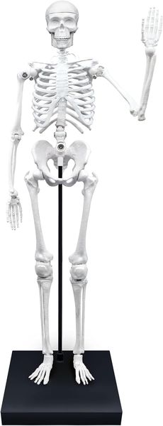 VidaXL Halloween-Skelett 2er Set - 85 Cm Grusel-Deko Für Drinnen & Draußen, Weiß PVC