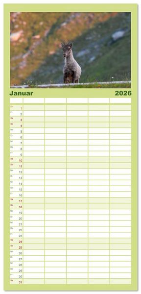 Produktbild: Familienplaner 2026 - Bergk&ouml;nige - Steinb&ouml;cke im Blickpunkt der Naturfotografie mit 5 Spalten (Wandkalender, 21 x 45 cm) CALVENDO