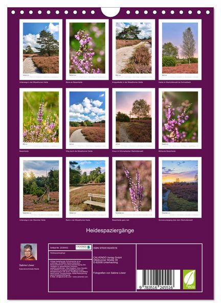 Produktbild: Heidespazierg&auml;nge (Wandkalender 2026 DIN A4 hoch), CALVENDO Monatskalender