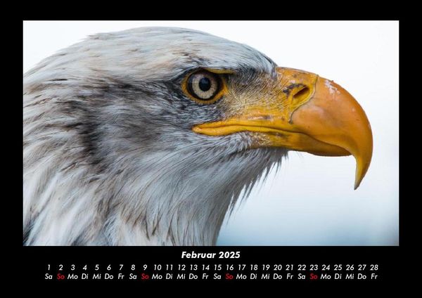 Produktbild: Vogelparadies 2025 Fotokalender DIN A3