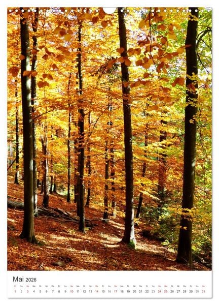 Produktbild: Faszination der Farben im Naturpark Lappwald (Wandkalender 2026 DIN A3 hoch), CALVENDO Monatskalender