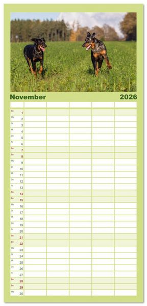 Produktbild: Familienplaner 2026 - Der Beauceron mit 5 Spalten (Wandkalender, 21 x 45 cm) CALVENDO