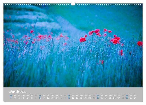 Produktbild: Poppy Love (High Quality Premium Wall Calendar 2026 DIN A2 landscape),CALVENDO 12 Month Wall Calendar