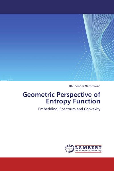 Produktbild: Geometric Perspective of Entropy Function