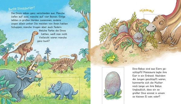 Produktbild: WAS IST WAS Meine Welt Band 5 WOW! Dinos!