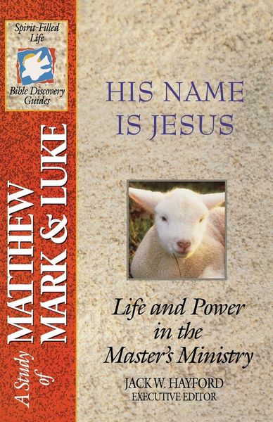 Produktbild: The Spirit-Filled Life Bible Discovery Series