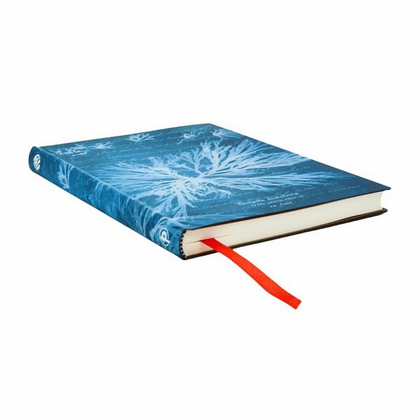 Produktbild: Notizbuch, Meeresblumen, Midi, Liniert