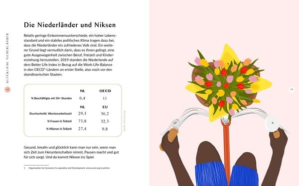 Produktbild: Niksen