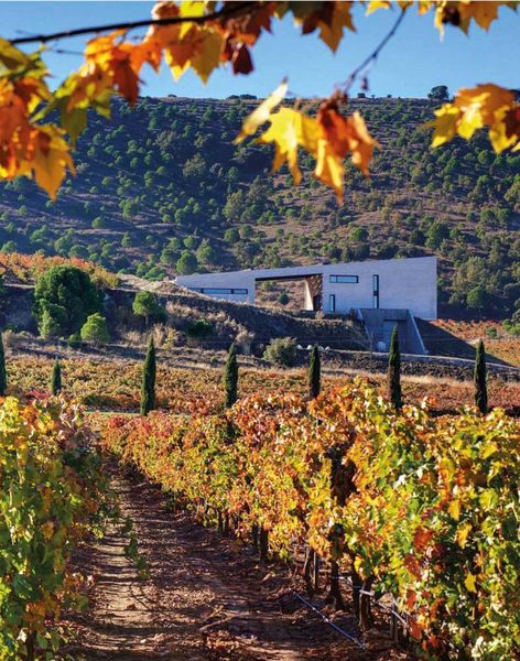 Produktbild: The World Winery Collection