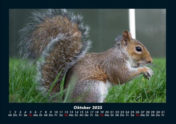 Produktbild: London 2025 Fotokalender DIN A4