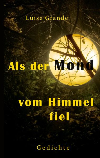 Produktbild: Als der Mond vom Himmel fiel