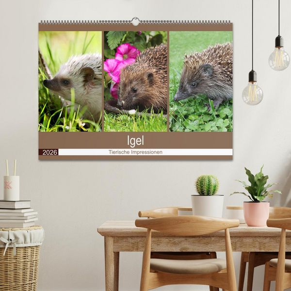 Produktbild: Igel 2026. Tierische Impressionen (Wandkalender 2026 DIN A2 quer), CALVENDO Monatskalender
