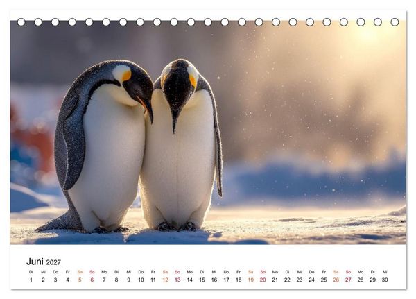 Produktbild: Pinguine - ein Jahr voller Meer (Tischkalender 2027 DIN A5 quer), CALVENDO Monatskalender