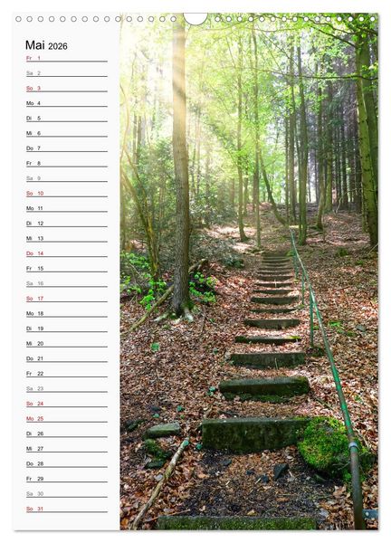 Produktbild: Nieste, Kleinod am Kaufunger Wald (Wandkalender 2026 DIN A3 hoch), CALVENDO Monatskalender