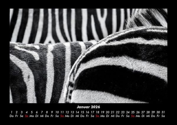 Produktbild: Tierkalender 2026 Fotokalender DIN A3