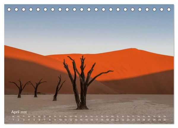 Produktbild: Astrein! - Der Baumkalender 2026 (Tischkalender 2026 DIN A5 quer), CALVENDO Monatskalender
