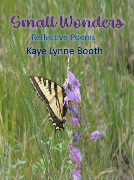 Produktbild: Small Wonders