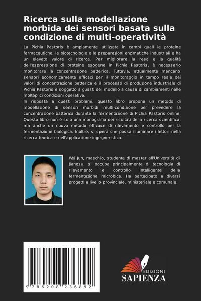 Produktbild: Ricerca sulla modellazione morbida dei sensori basata sulla condizione di multi-operativit&agrave;