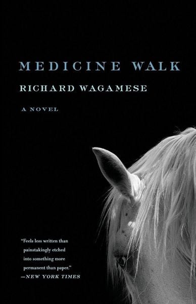 Produktbild: Medicine Walk