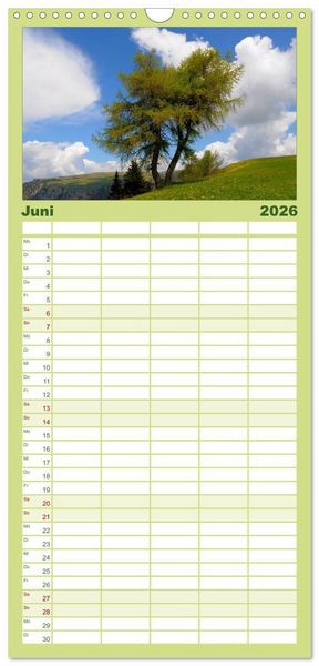 Produktbild: Familienplaner 2026 - B&auml;ume 2026 mit 5 Spalten (Wandkalender, 21 x 45 cm) CALVENDO