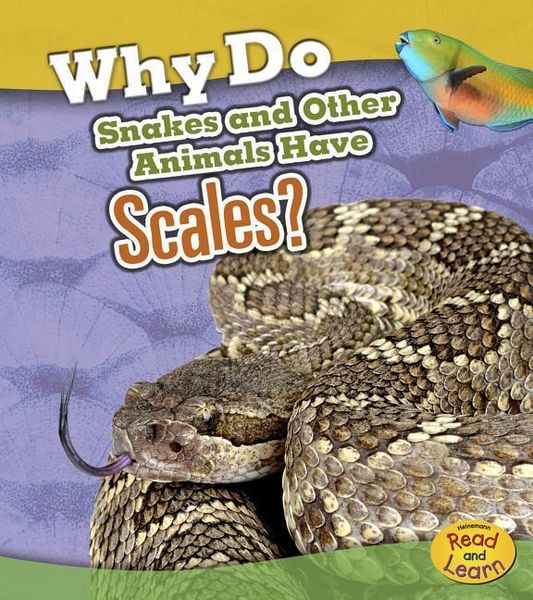 Produktbild: Why Do Snakes and Other Animals Have Scales?