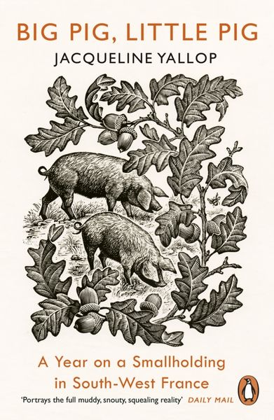 Produktbild: Big Pig, Little Pig