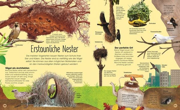 Produktbild: Die schillernde Welt der V&ouml;gel