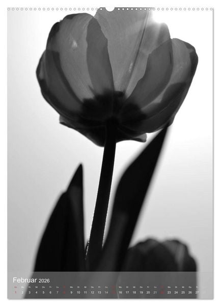 Produktbild: Monochrome Bl&uuml;ten - In Schwarz-Wei&szlig; Bildern durch das Jahr (Wandkalender 2026 DIN A2 hoch), CALVENDO Monatskalender