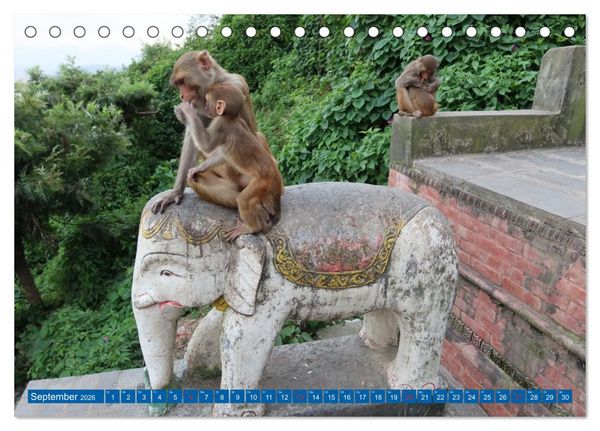 Produktbild: Kalender 2026 der Nepal Kinderhilfe e.V. (Tischkalender 2026 DIN A5 quer), CALVENDO Monatskalender